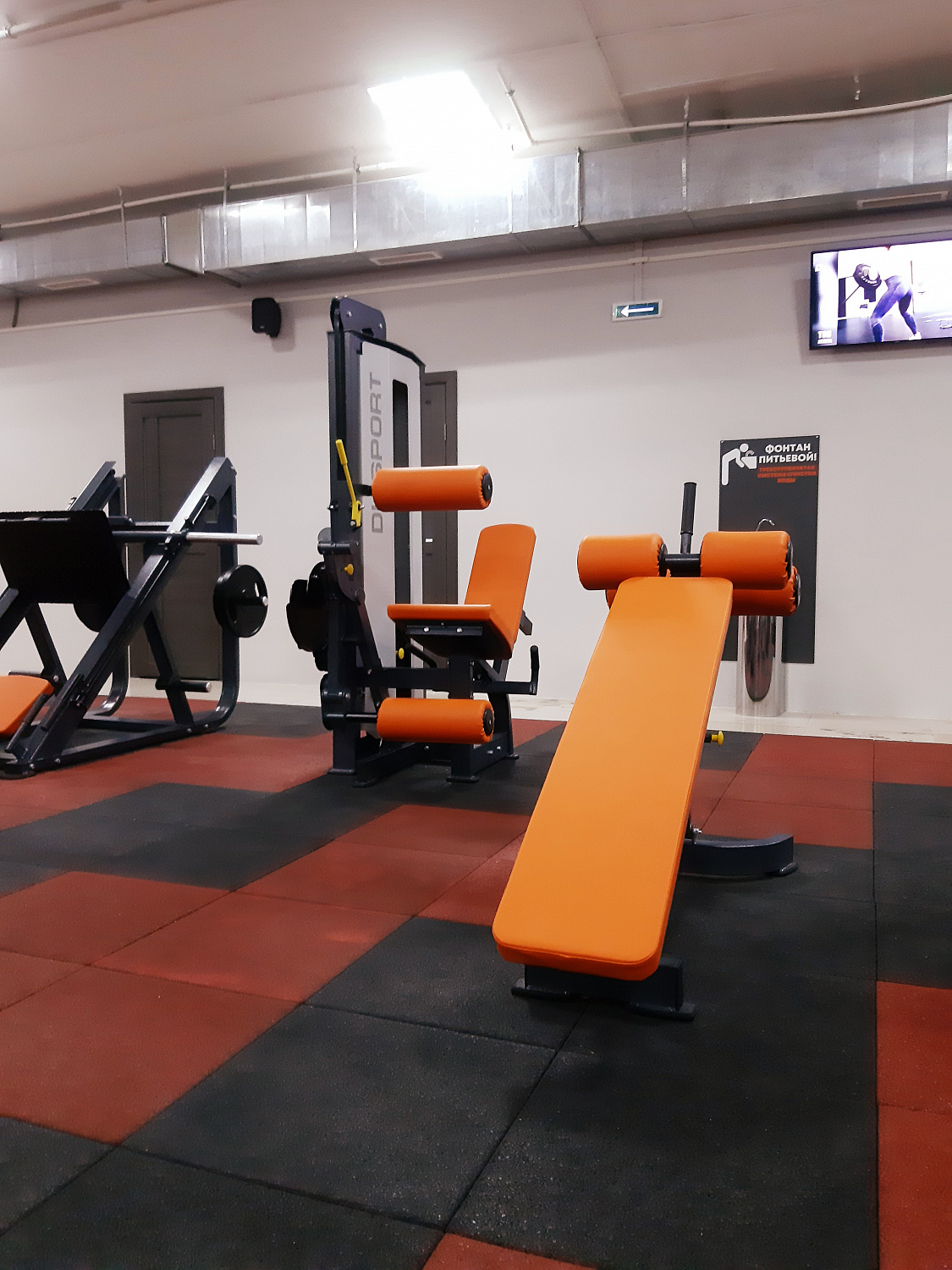 Фитнес-клуб "БЕЛКА GYM"