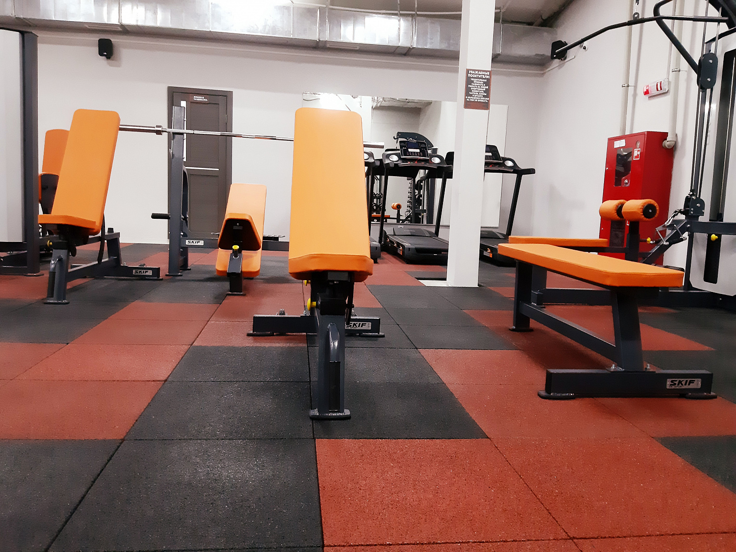 Фитнес-клуб "БЕЛКА GYM"